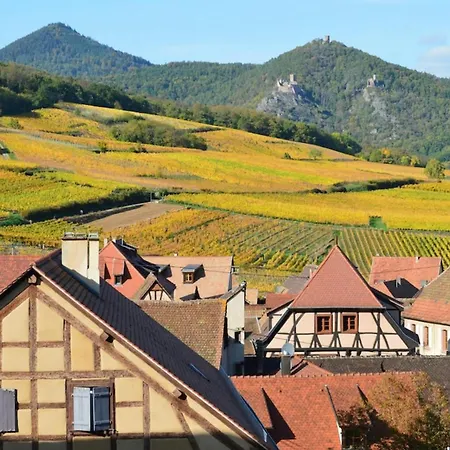 Apartman Cocooning A 5km Du Centre De Strasbourg